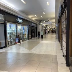 Kiehl's ico