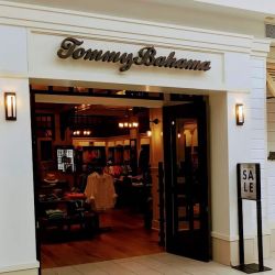Tommy Bahama ico