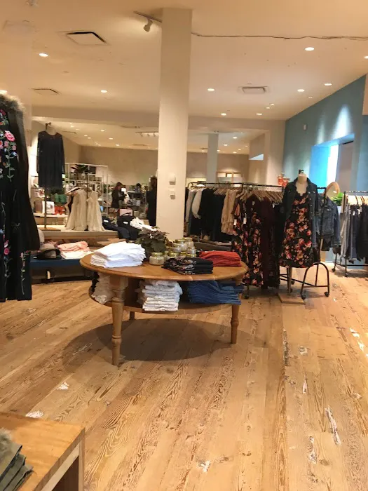 Anthropologie 1