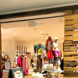 Anthropologie ico