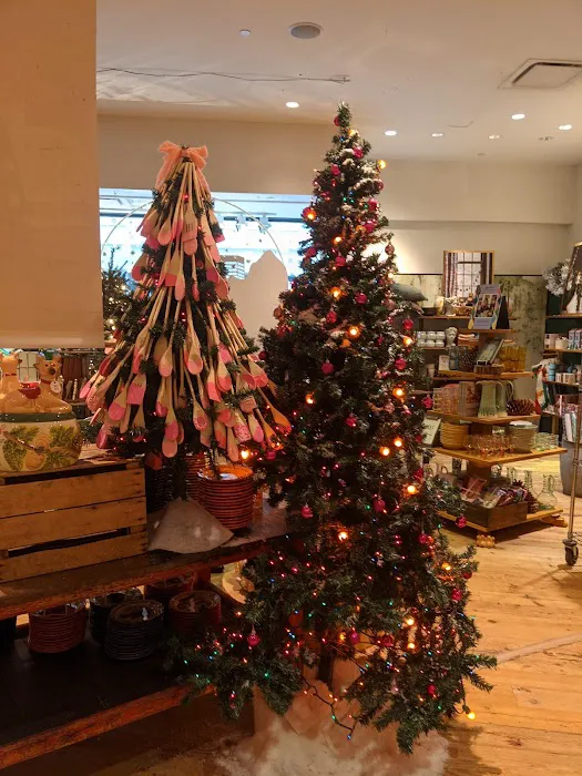 Anthropologie 5