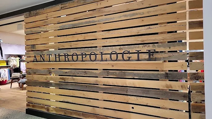 Anthropologie 3