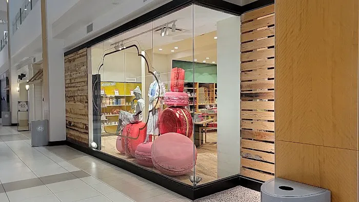 Anthropologie 4