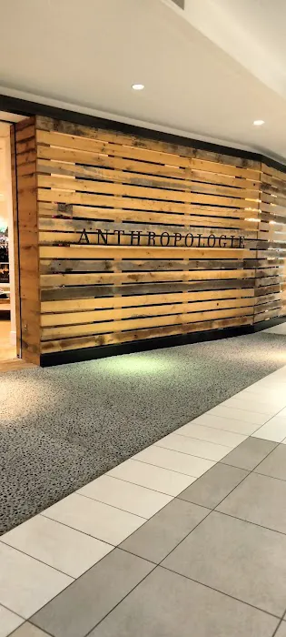 Anthropologie 7