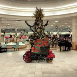 Von Maur ico