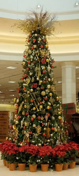 Von Maur 7