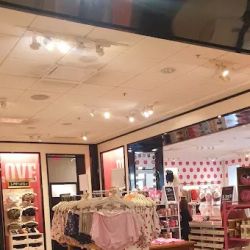 PINK by Victoria's Secret ico