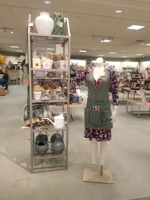 Dillard's 7