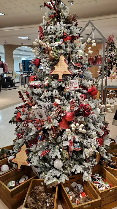 Dillard's 8