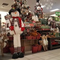 Kohl's ico