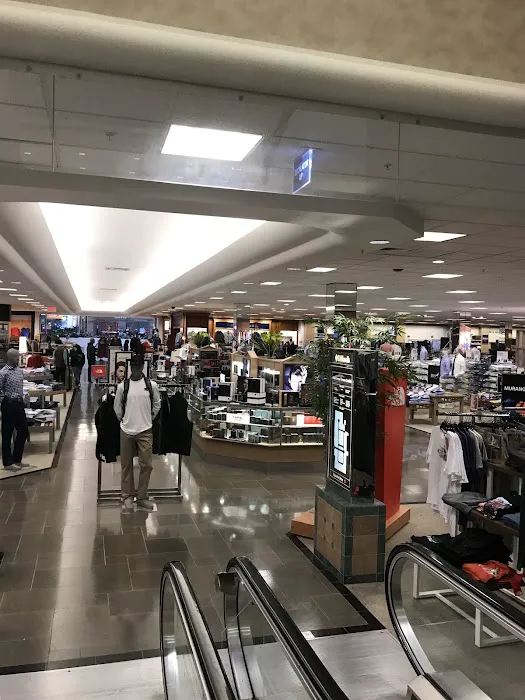 Dillard's 3
