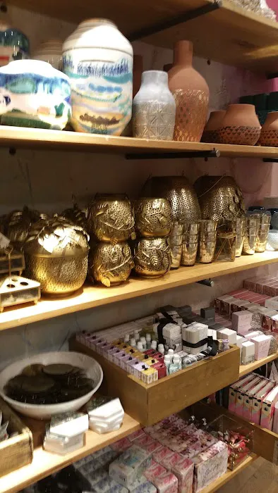 Anthropologie 0
