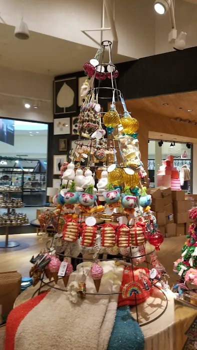 Anthropologie 5