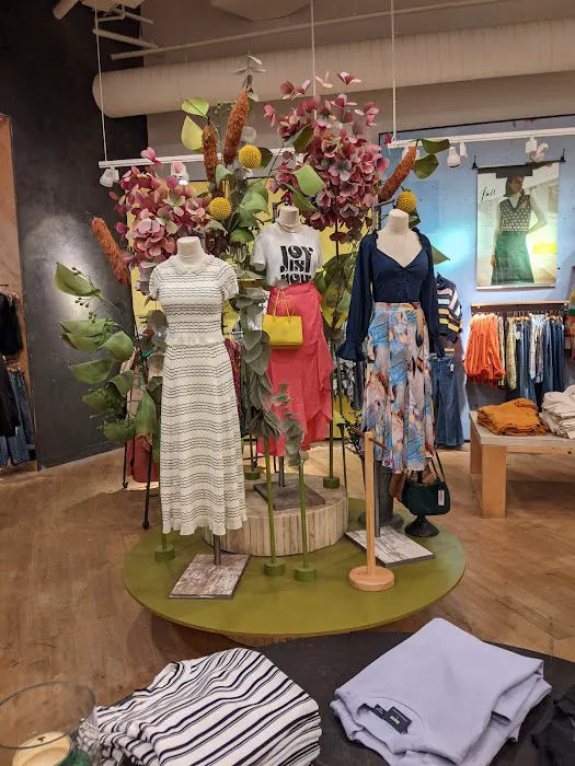 Anthropologie 4