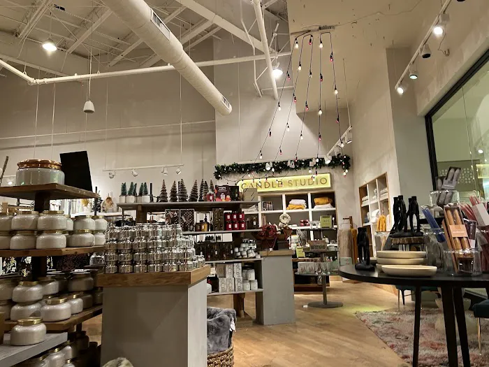 Anthropologie 7