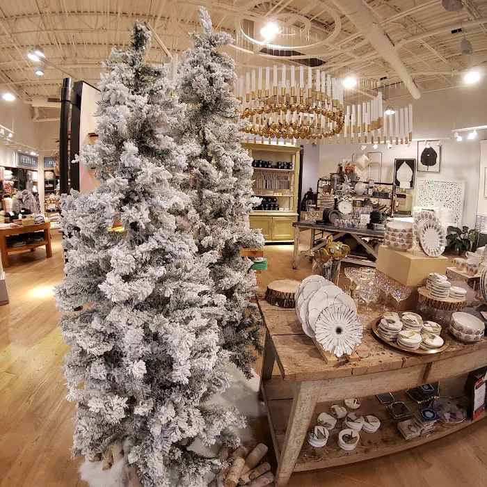 Anthropologie 8