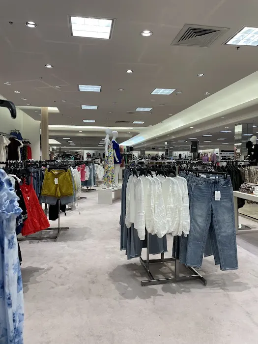 Dillard's 3