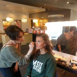 Merle Norman Cosmetics Studio ico