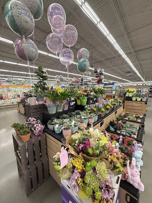 Meijer 5