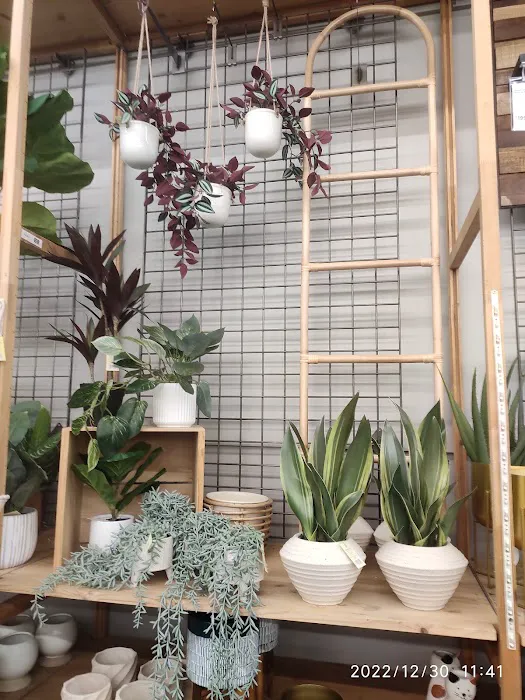 World Market 5