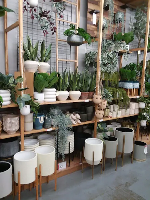 World Market 8