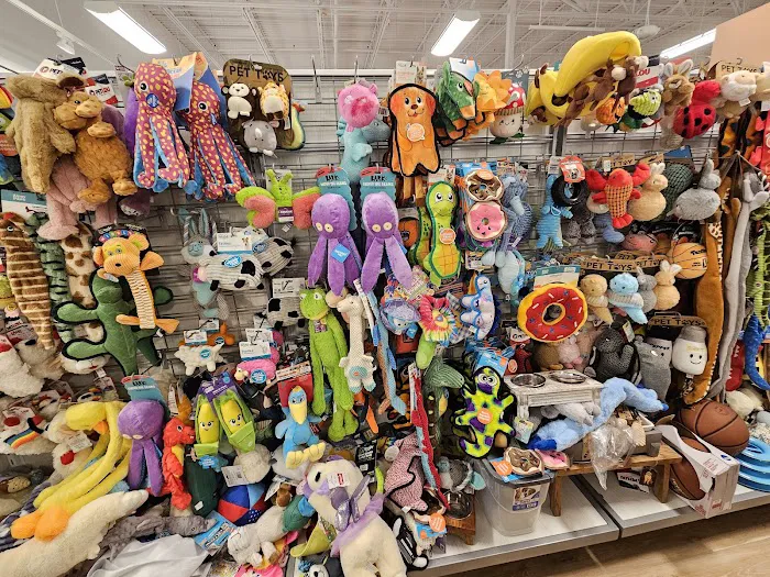 Marshalls 8