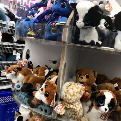 Five Below ico