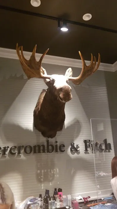 Abercrombie & Fitch 2