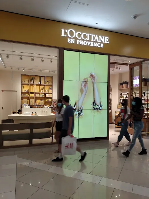 L'OCCITANE EN PROVENCE 3