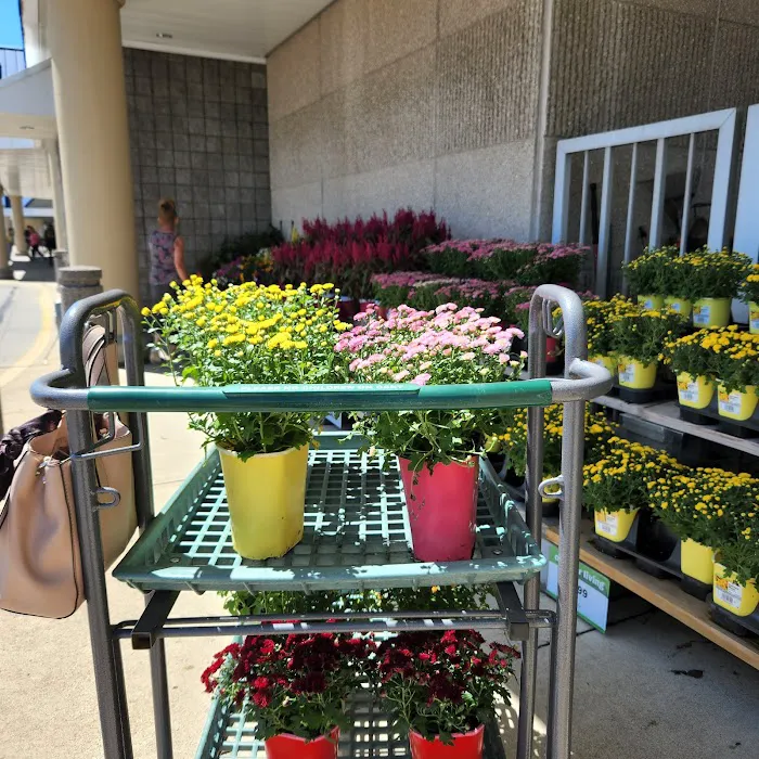 Meijer 8