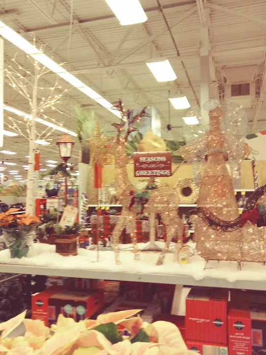 Meijer 6