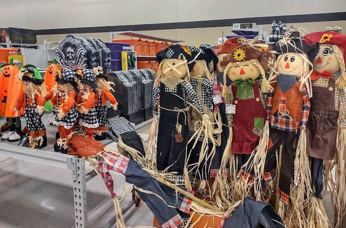 Meijer 4