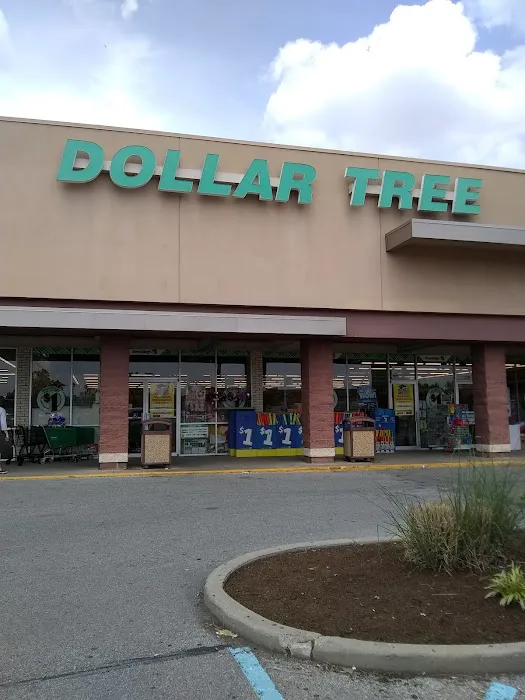 Dollar Tree 7