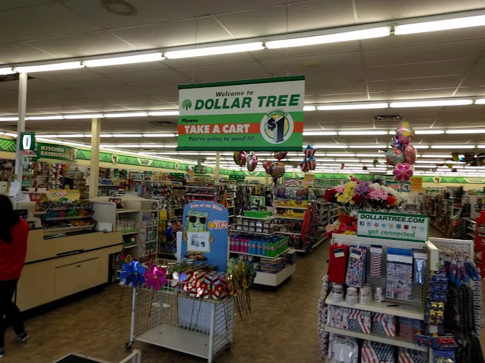 Dollar Tree 6