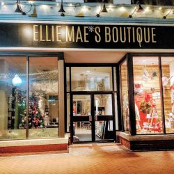 Ellie Mae's Boutique ico