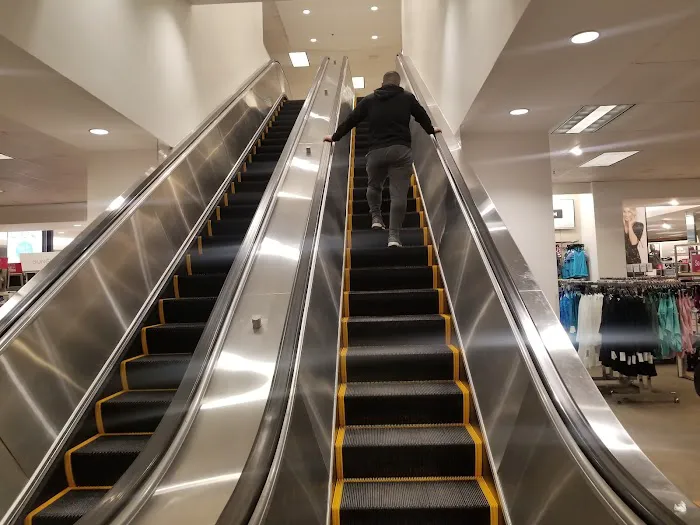 Kohl's 7