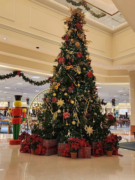 Von Maur 7