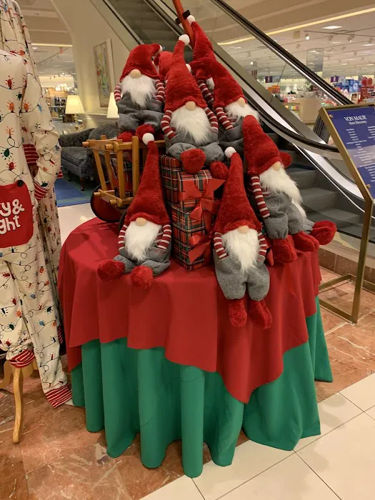 Von Maur 8