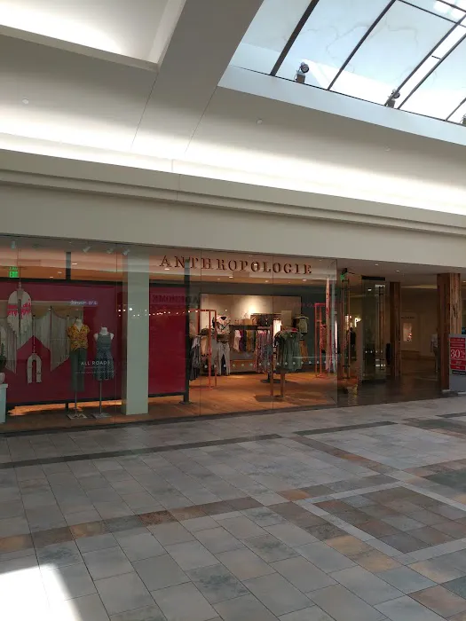Anthropologie 0
