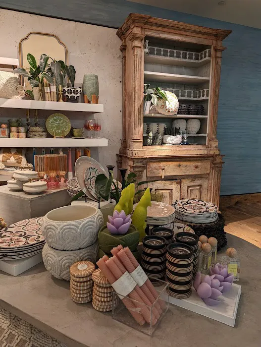 Anthropologie 2