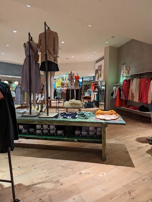 Anthropologie 3