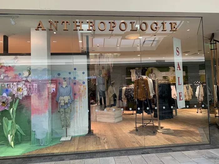 Anthropologie 6