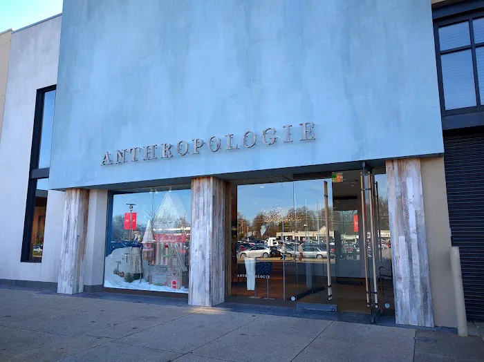 Anthropologie 9