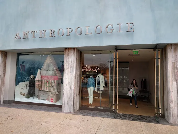 Anthropologie 7