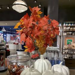 Bath & Body Works ico