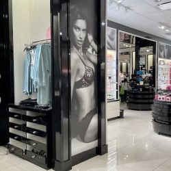 Victoria's Secret & PINK by Victoria's Secret ico