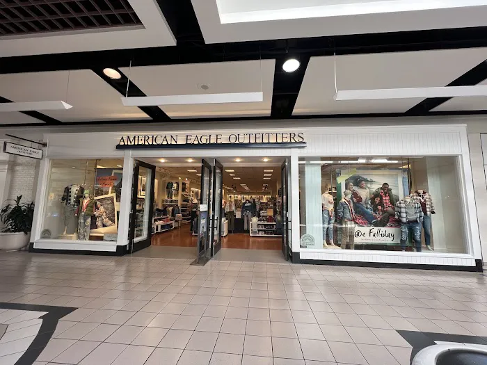 American Eagle 8