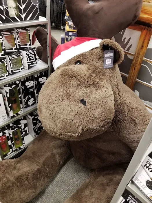 Kohl's 1