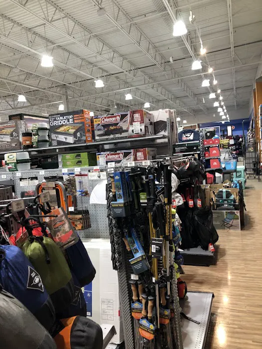 Kohl's 5