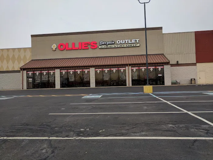 Ollie's Bargain Outlet 9